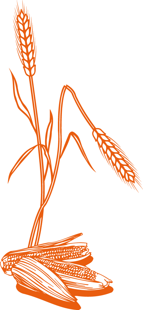 Gesundheitswochen in Lilienthal!