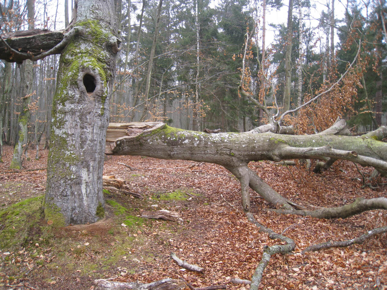 Fasten – Wandern – Lebensfreude 07-14. April 2018