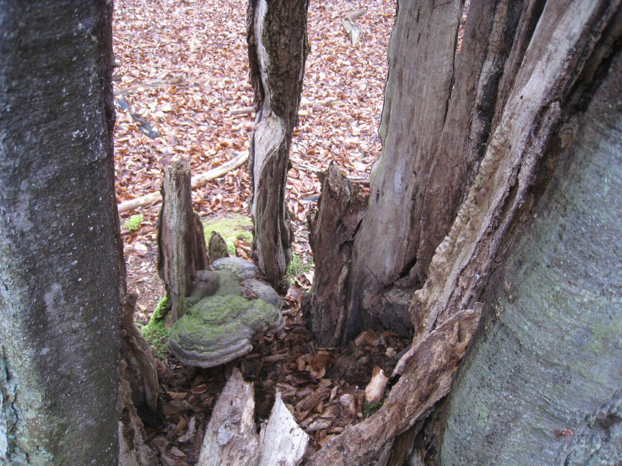 Fasten – Wandern – Lebensfreude 07-14. April 2018