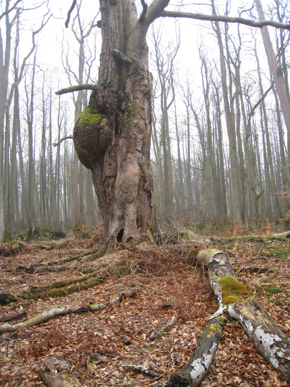 Fasten – Wandern – Lebensfreude 07-14. April 2018