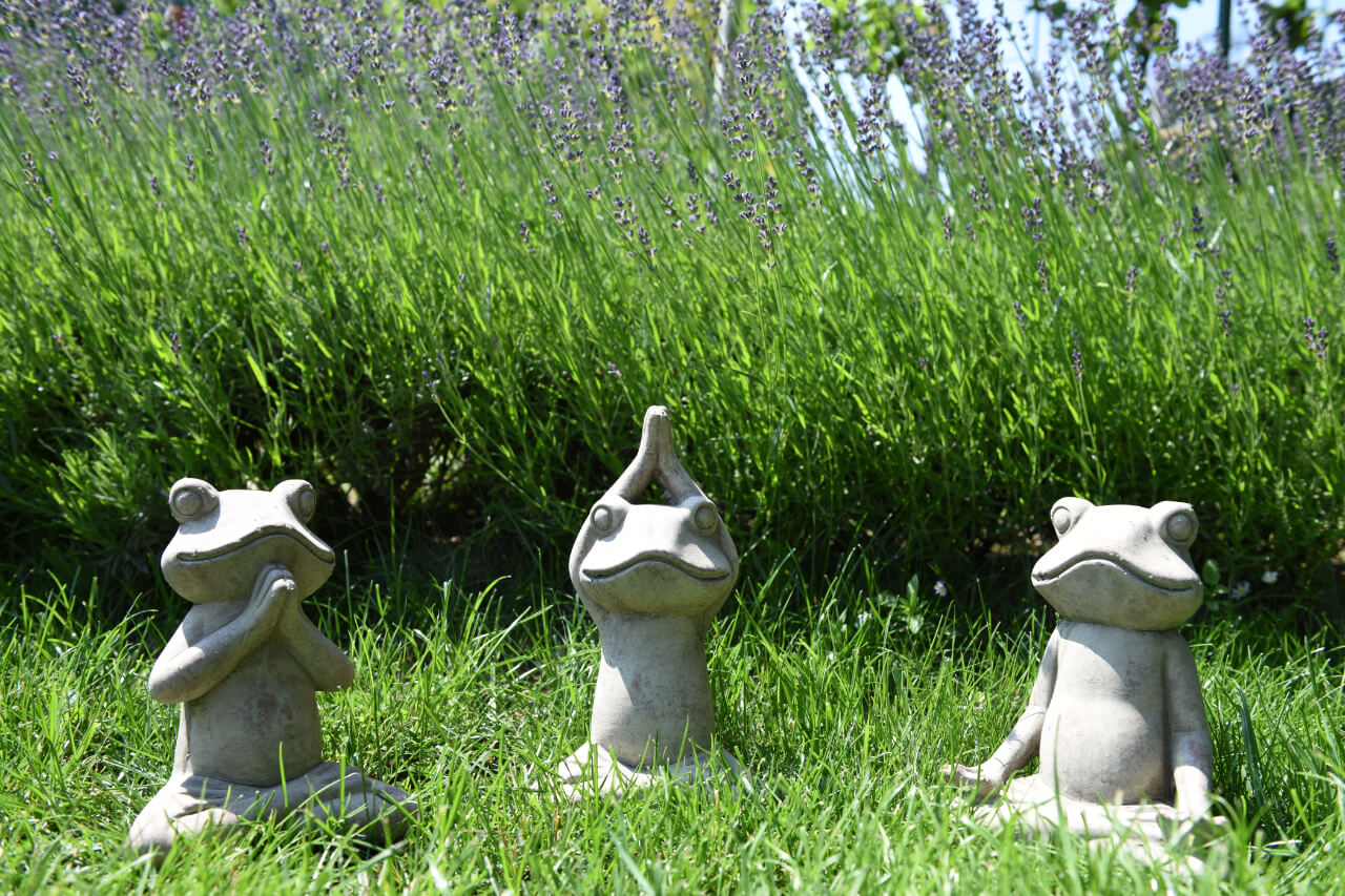 Gesundheitswochen in Lilienthal!