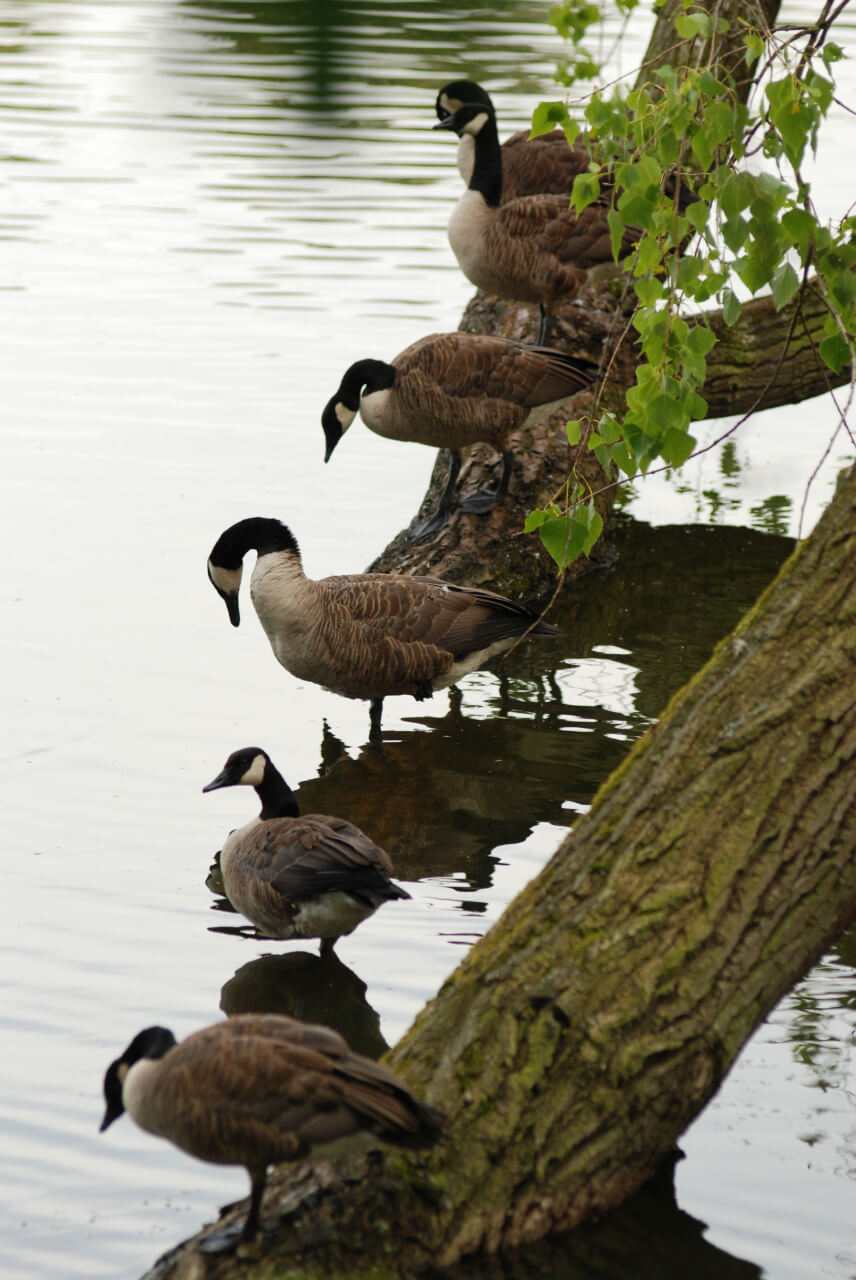 Gesundheitswochen in Lilienthal!