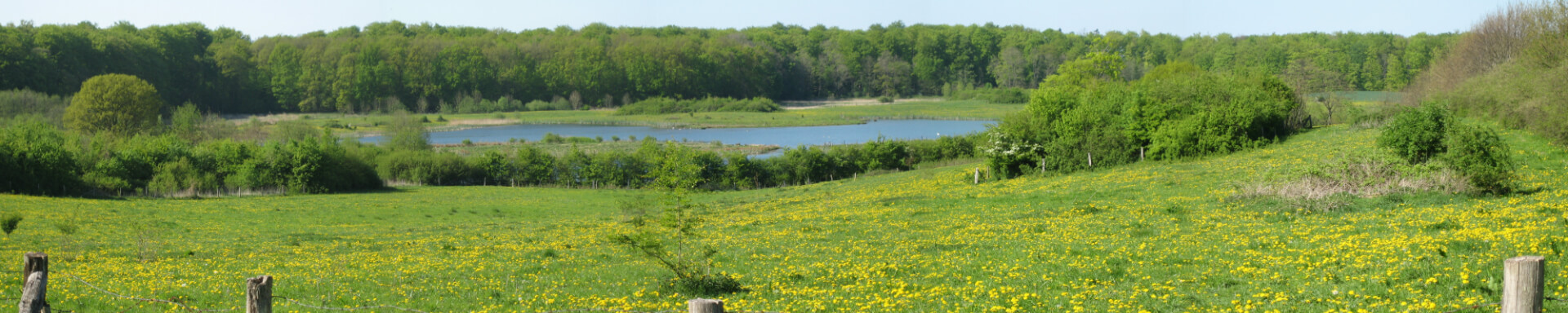 Gesundheitswochen in Lilienthal!